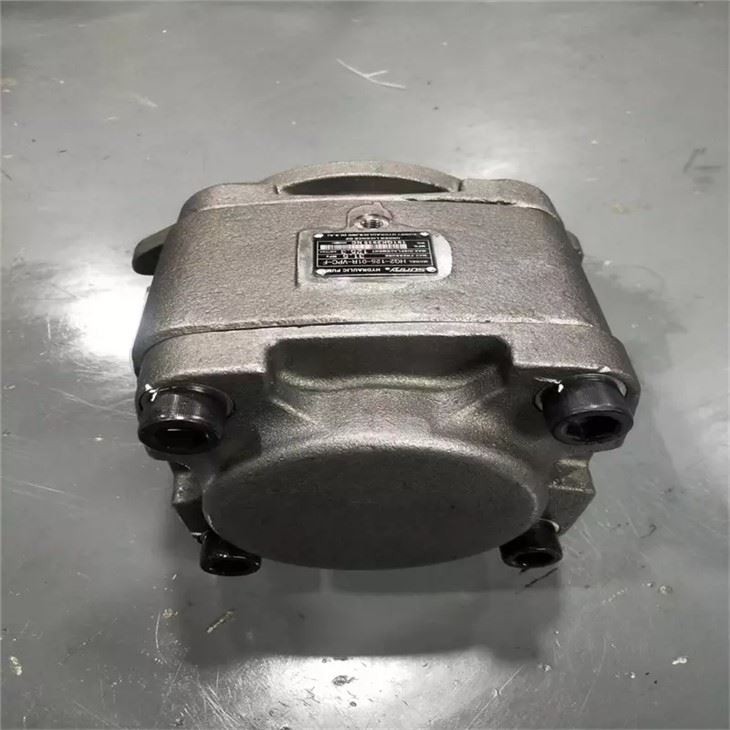 Sunny Hydraulic Pump HG2-125-01R-VPC-F HYTEK HG1-40-01R-VPC-36 For Injection Molding Machine Sunny Hydraulic Pump HG2-125-01R-VP