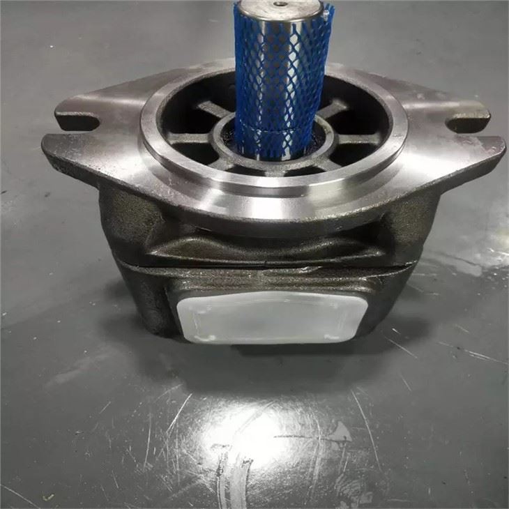 Sunny Hydraulic Pump HG2-125-01R-VPC-F HYTEK HG1-40-01R-VPC-36 For Injection Molding Machine Sunny Hydraulic Pump HG2-125-01R-VP