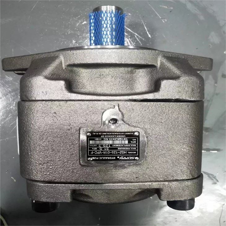 Sunny Hydraulic Pump HG2-125-01R-VPC-F HYTEK HG1-40-01R-VPC-36 For Injection Molding Machine Sunny Hydraulic Pump HG2-125-01R-VP